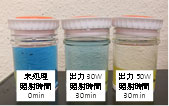 循環システム部