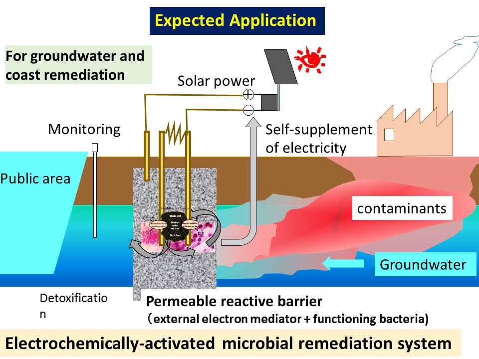 Electrochemically-activated microbial remediation systems