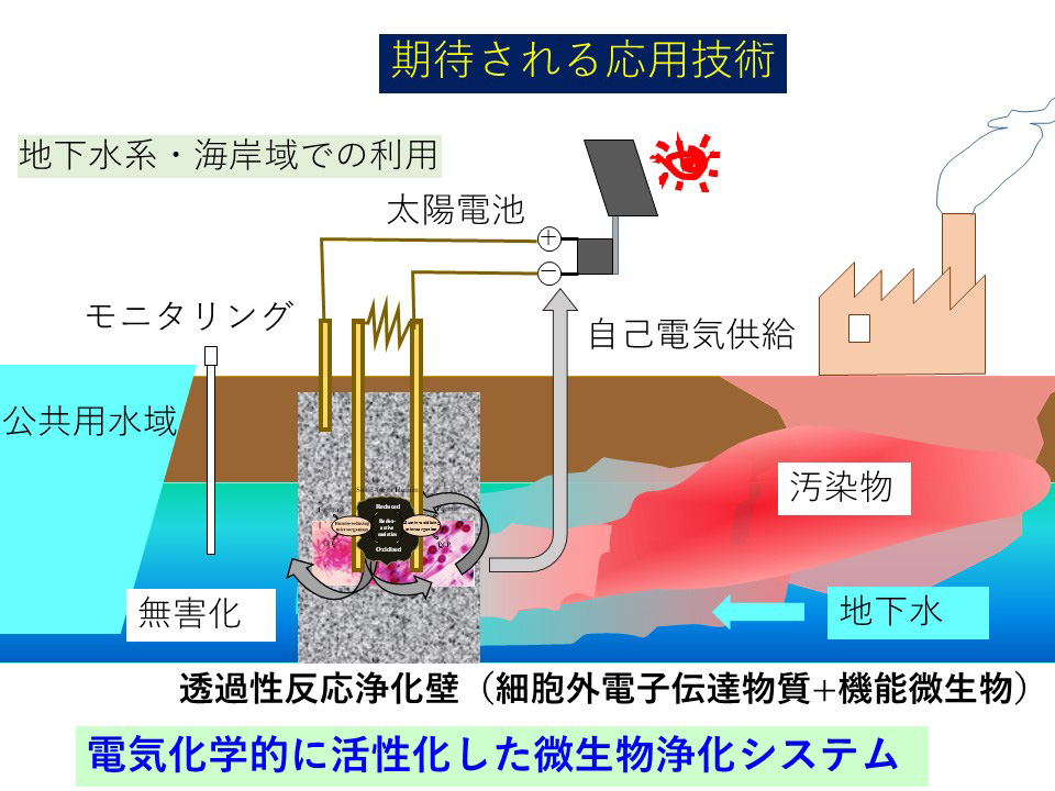 電気化学的に活性化した微生物浄化システム