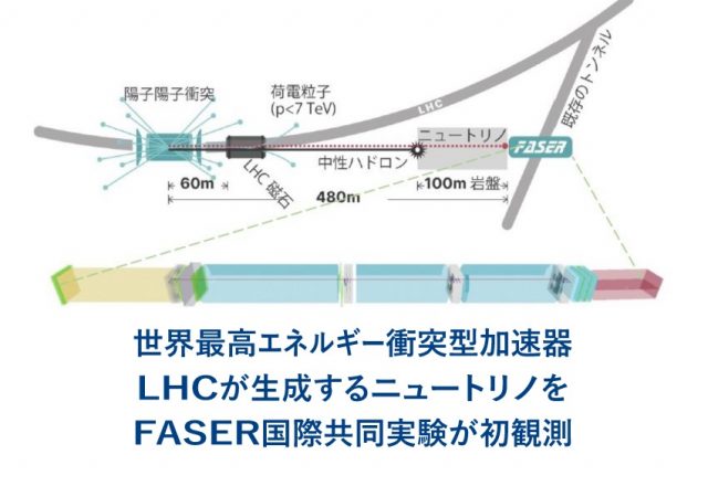 世界最高エネルギー衝突型加速器LHCが生成するニュートリノを、FASER国際共同実験が初観測した