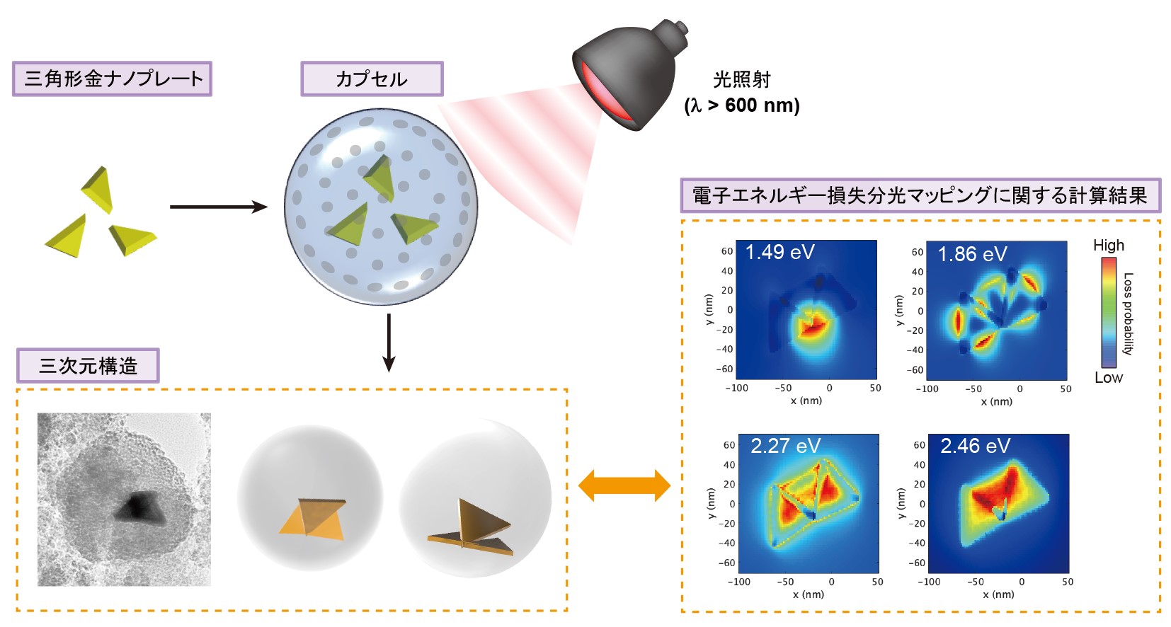 ナノカプセルに閉じ込めた金ナノ粒子を使って 三次元構造を組み立てる ...